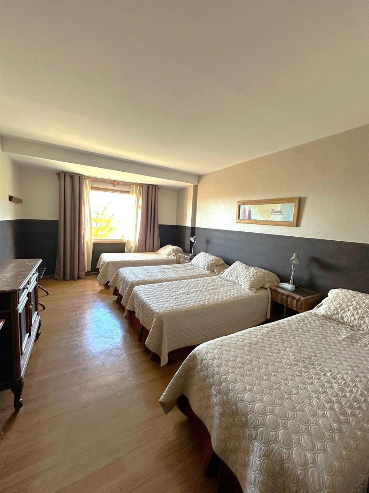 Meulen Hosteria Y Apart เอลกาลาฟาเต ห้อง รูปภาพ